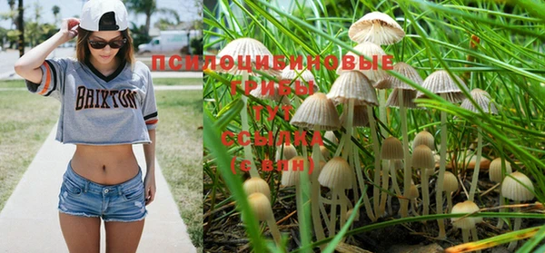амфетамин Алексин