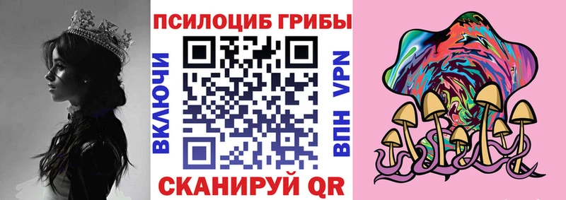 Псилоцибиновые грибы Psilocybe  kraken ONION  Орехово-Зуево  цены наркотик 